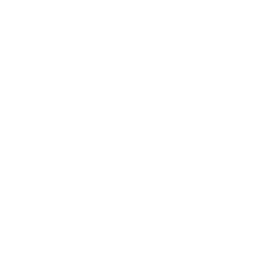 icon services